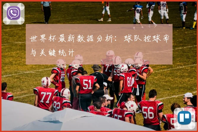 世界杯最新数据分析：球队控球率与关键统计