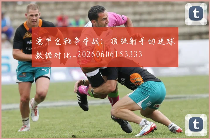 意甲金靴争夺战：顶级射手的进球数据对比_20260606153333